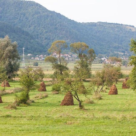Time-Out - Valea Oltului Hotel Balota  ภายนอก รูปภาพ