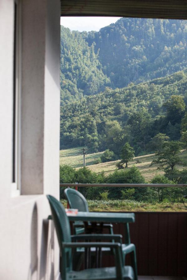 Time-Out - Valea Oltului Hotel Balota  ภายนอก รูปภาพ