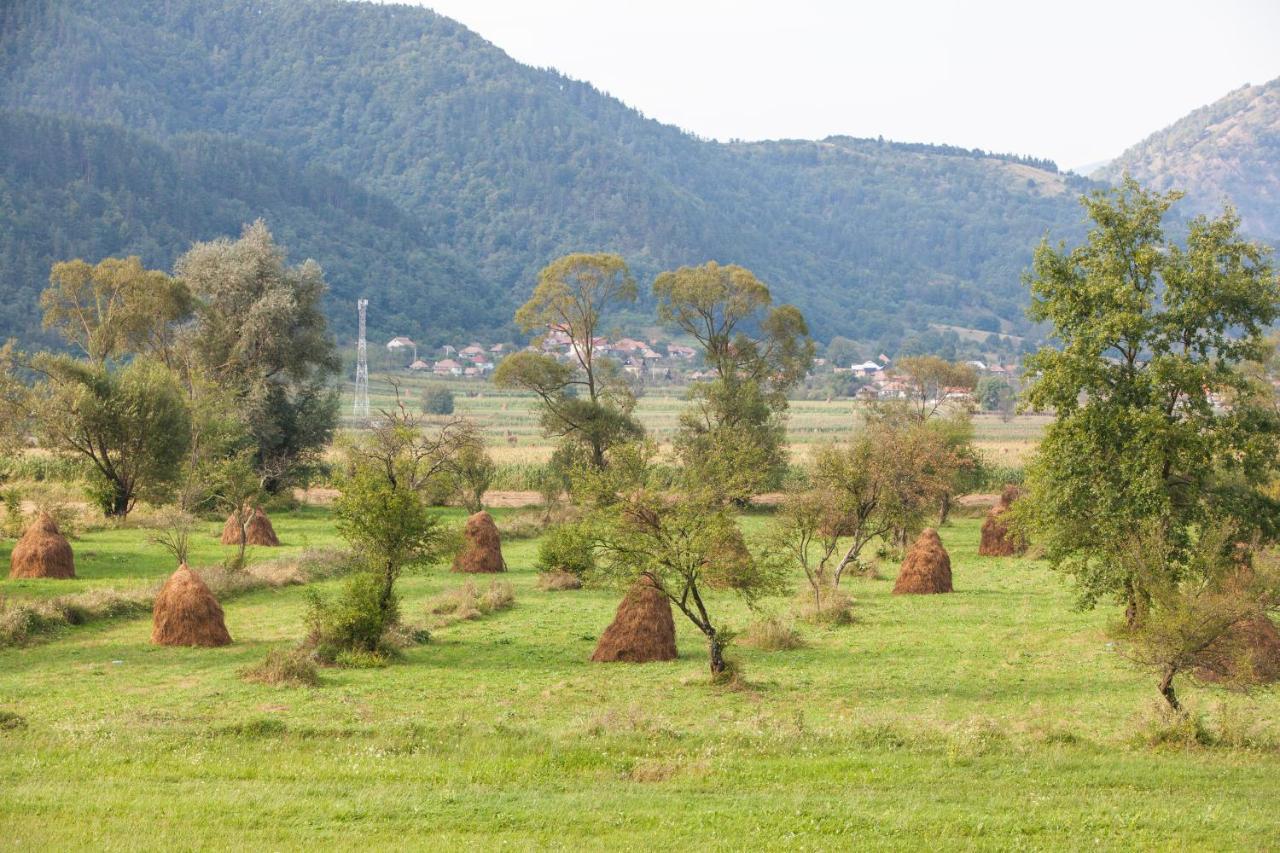 Time-Out - Valea Oltului Hotel Balota  ภายนอก รูปภาพ