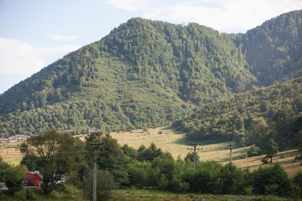 Time-Out - Valea Oltului Hotel Balota  ภายนอก รูปภาพ